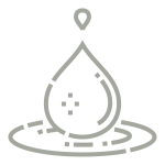 bosque-services-icon-01