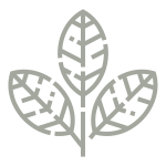 bosque-services-icon-02