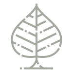 bosque-services-icon-05