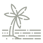 bosque-services-icon-06